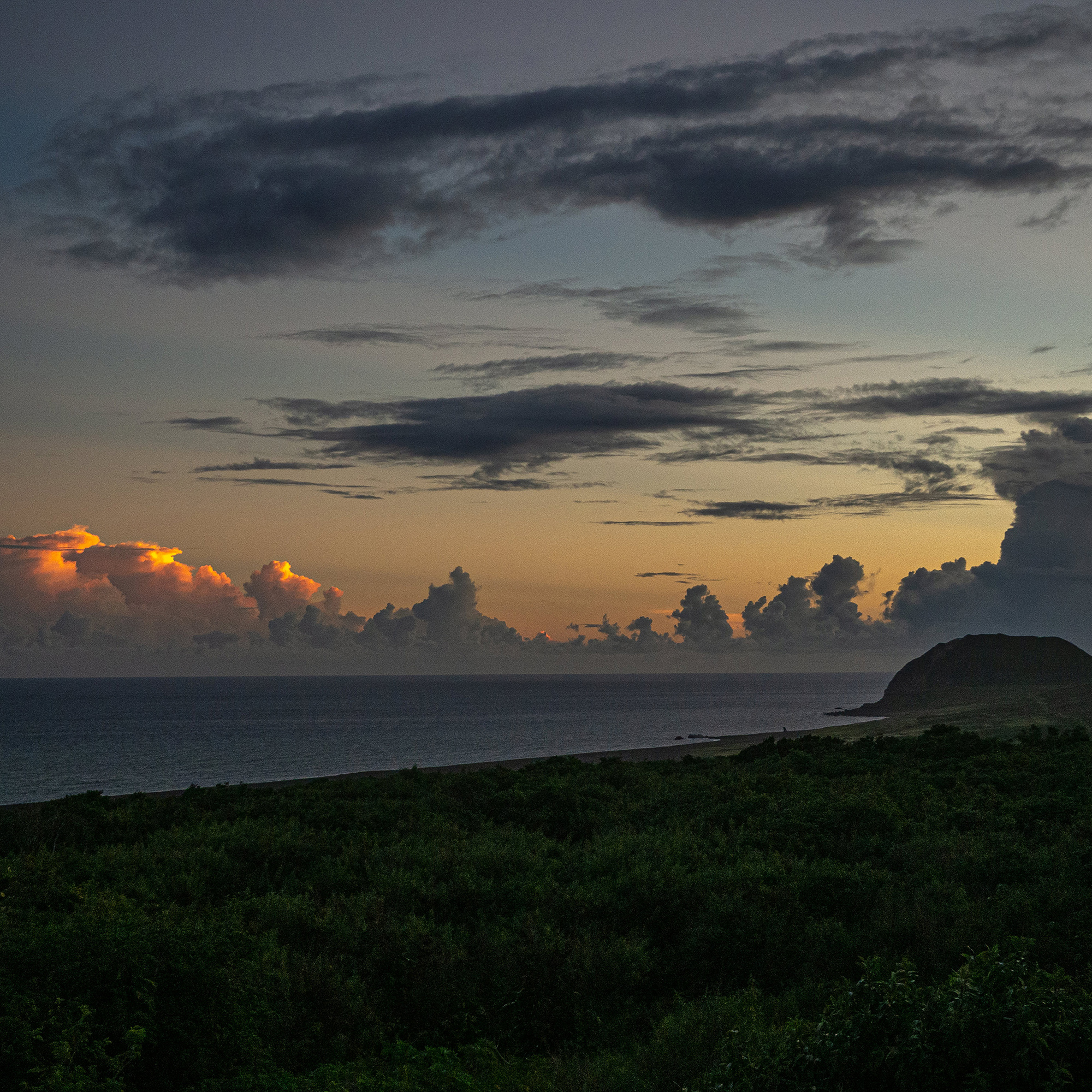 母島