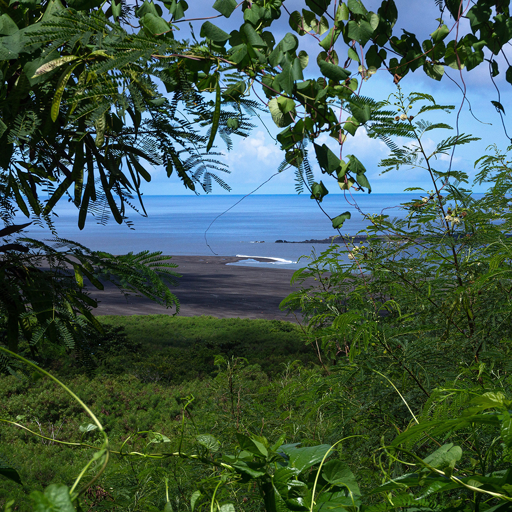 横山島