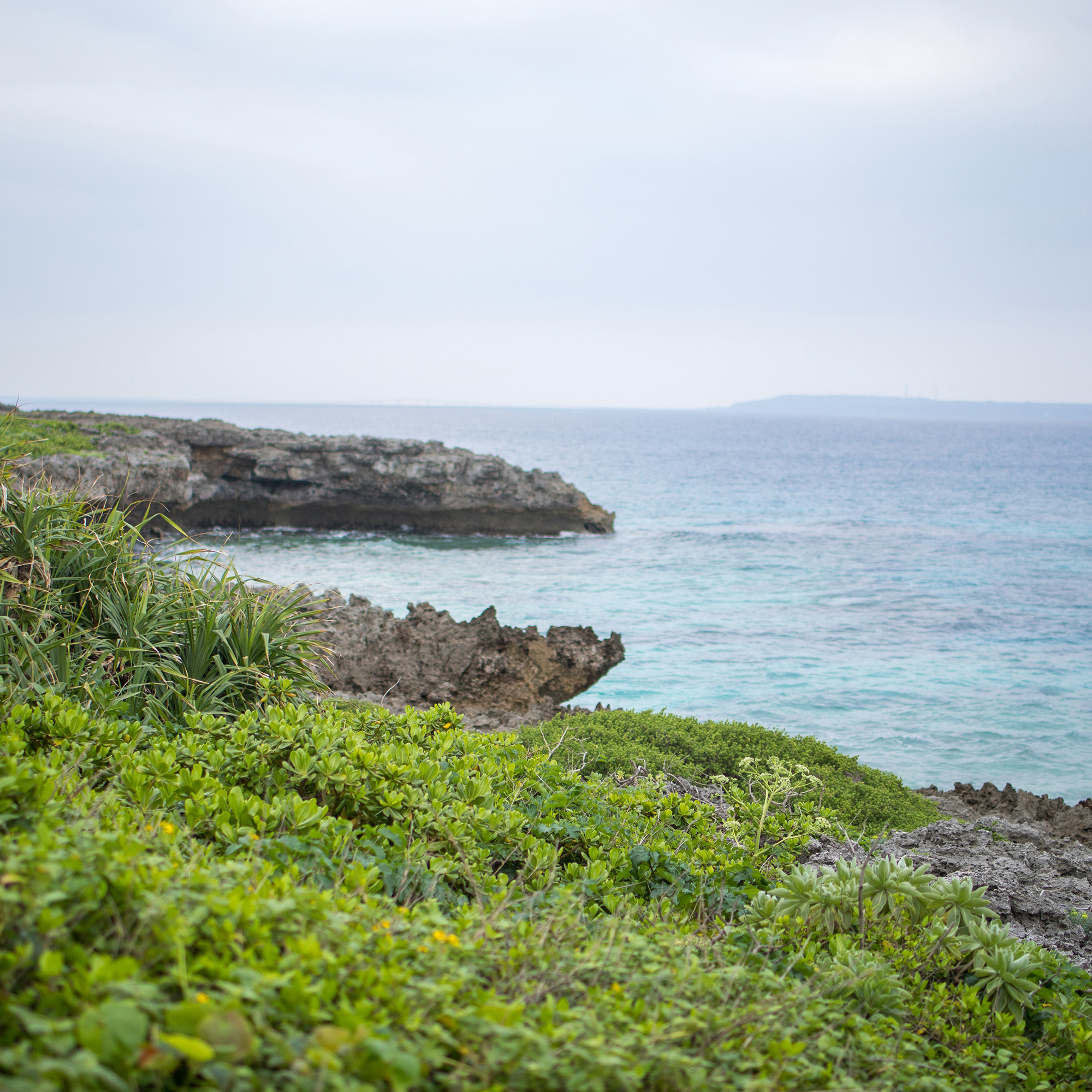 姫島